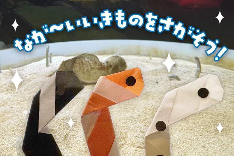 レゴランドウィークエンド　シーライフ水族館
