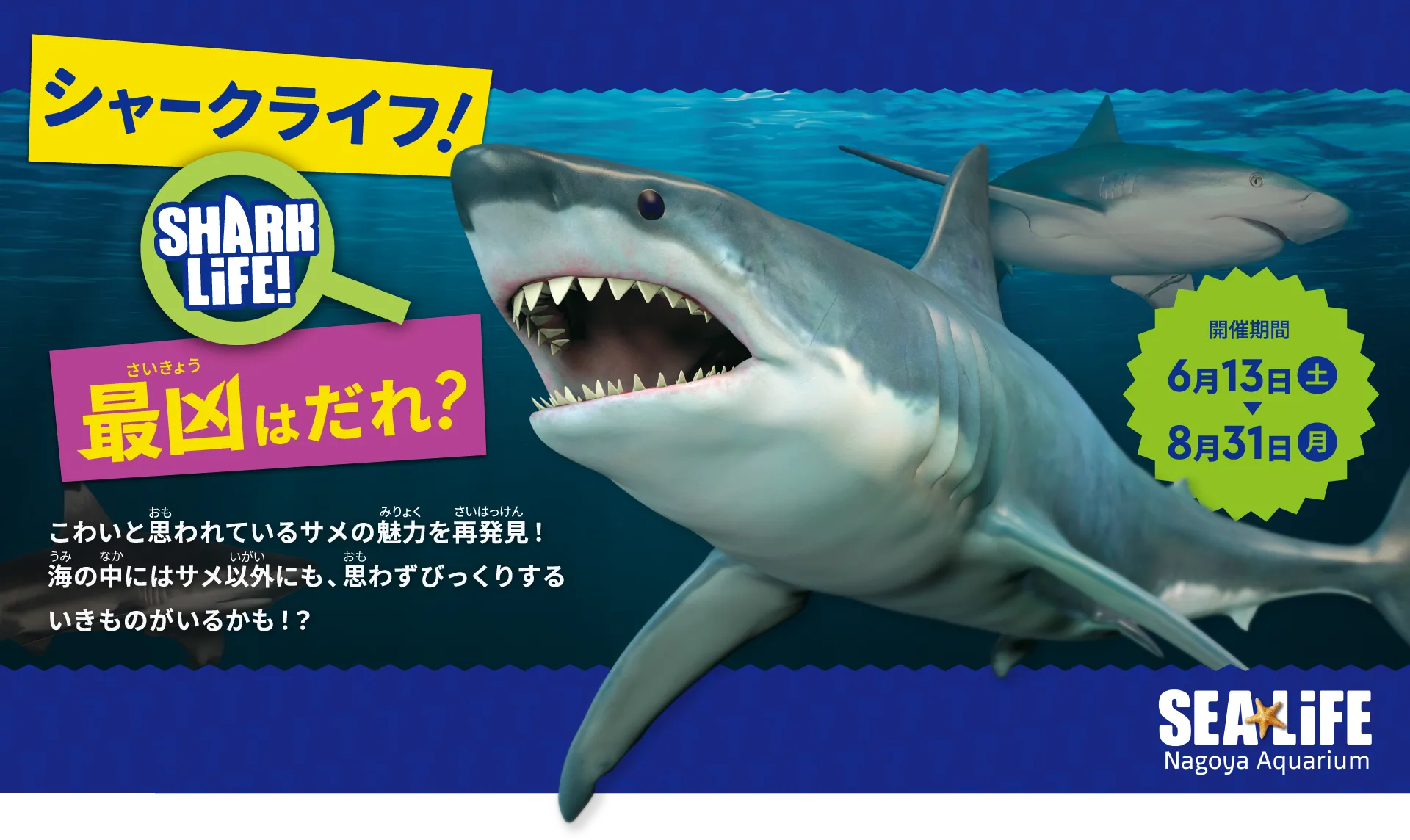 シャークライフ！最凶はだれ？