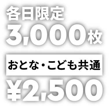 各日3,000枚　¥2,500で夜のレゴランドを満喫しよう！