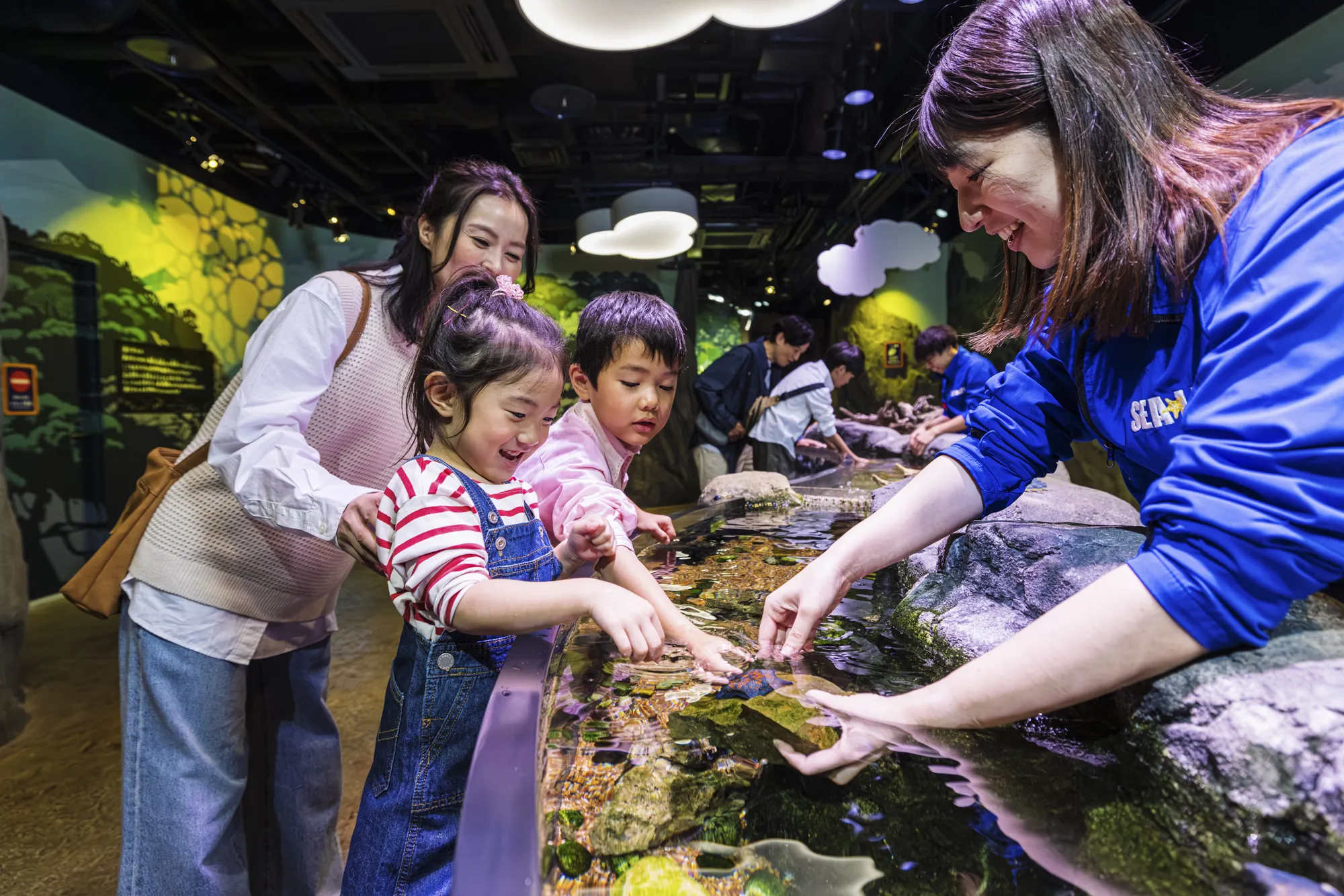 ロックプール 025