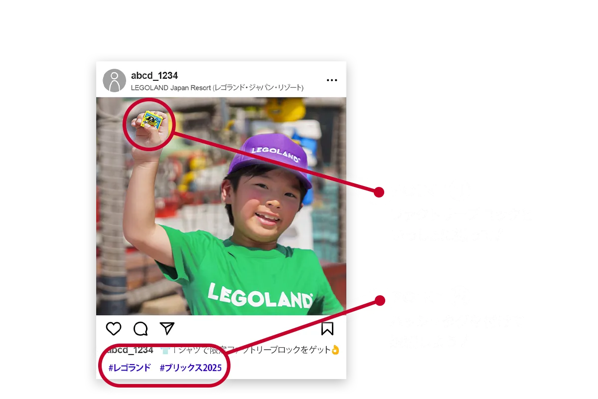 new application period