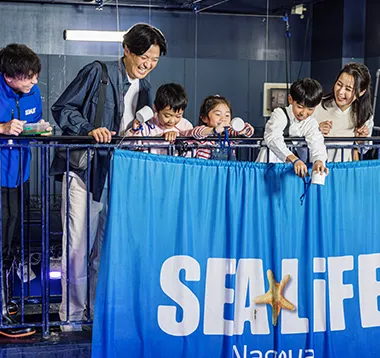 バックヤード体験ツアーの様子