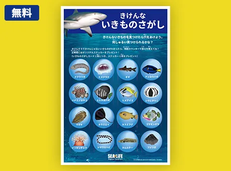 きけんな生きものを探してみよう イメージ