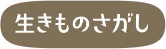 いきものさがし