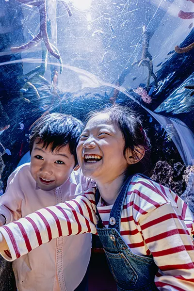 サンゴ礁の海 018