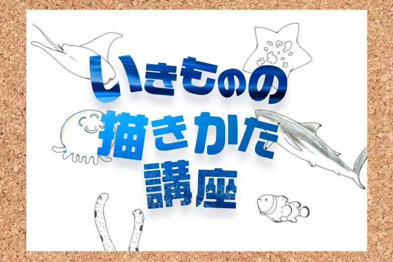 Llw 202602 Slnikimonoegaki