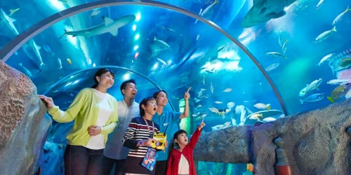 Sea Life Tunnel 108 650