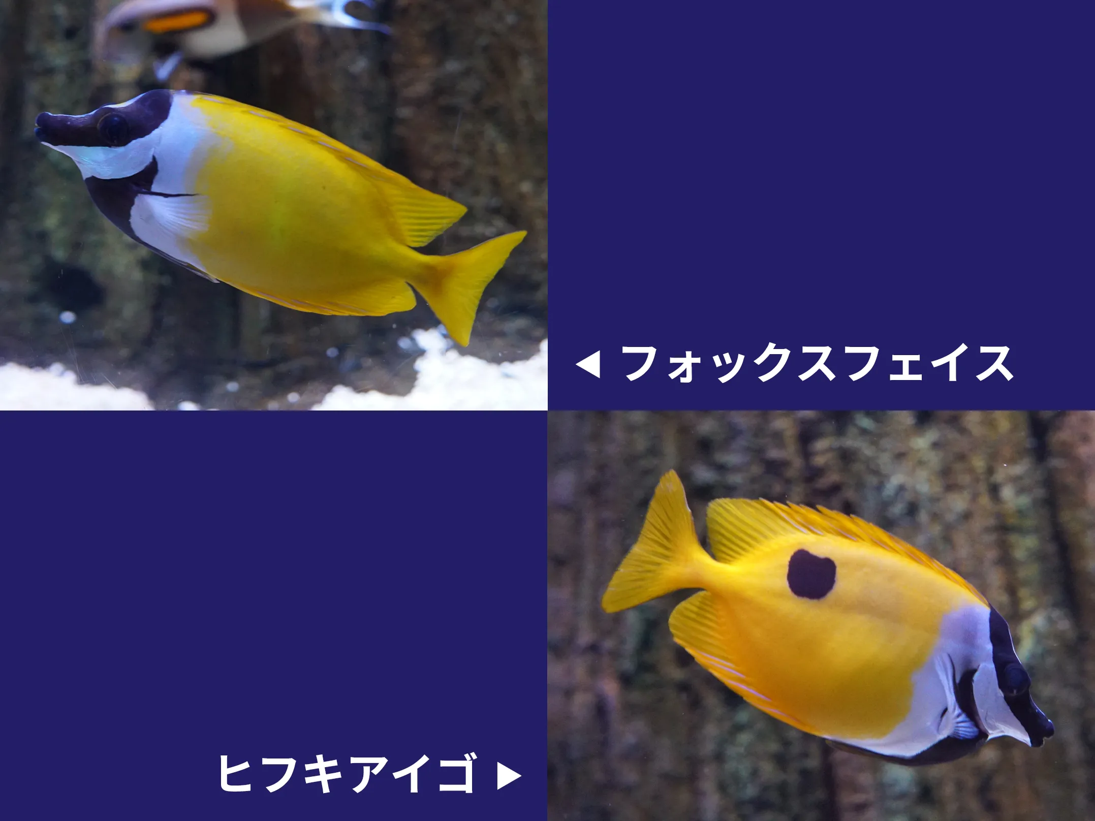 20260307111025097 0013