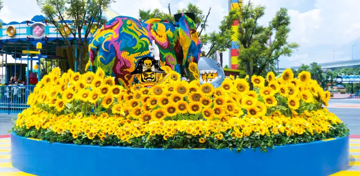 エントランス フォトスポット イメージ