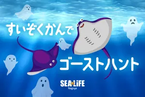 202509 Sealife Dijitalsignage02