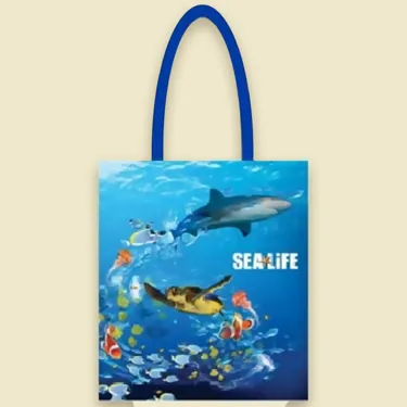 SLN Sdgs Originalbag