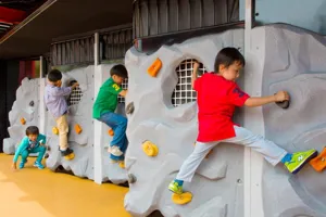 Ninjagorockclimbbanner650mini