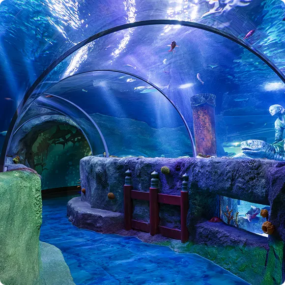 みどころ紹介　イメージ