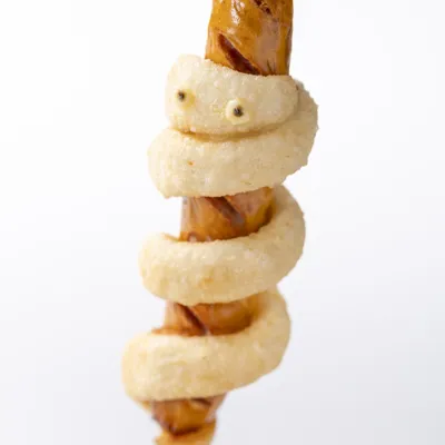 Mochimochi Mummy Dog