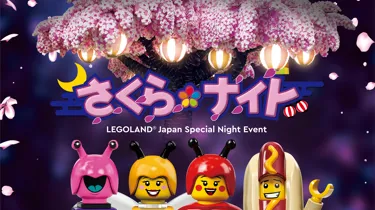 Sakuranightkv Square 2000X2000