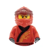 カイ _商品イメージ