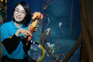 Seahorse Talkshow